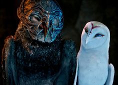 two owls standing next to each other in front of a dark background with red light