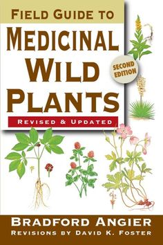 the field guide to medical wild plants