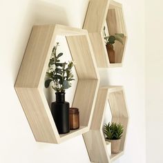 three wooden hexagonal shelves with plants and vases on them against a white wall