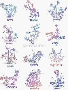 the zodiac signs are drawn in different colors and sizes, with flowers growing out of them