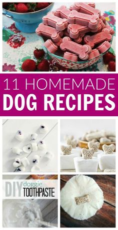 homemade dog treats that are easy to make