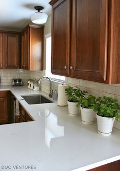 the kitchen counter is clean and ready for us to put in their pots or planters