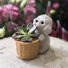 a small white dog figurine holding a succulent in a basket on top of a table