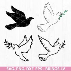 Dove SVG Dove Svg, Dove Tattoo, Htv Projects, Peace Dove, Animal Clipart, Free Svg, Vinyl Decals, Screen Printing, Cricut