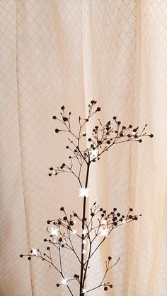 a small tree with white lights on it in front of a curtained window sill