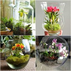 four different vases filled with flowers and plants in them, one is clear glass the other has green moss