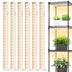 four shelves with plants and lights on them