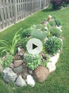 a garden with rocks and plants in the center, surrounded by grass on either side