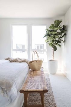 a bedroom with a bed, table and plant in the corner on the floor next to the window