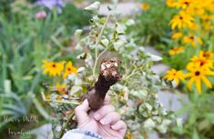 a person holding up a dead flower in their hand