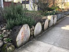 a stone wall with some plants growing out of it next to a sidewalk in front of a house