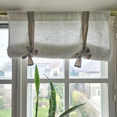 a potted plant sitting on top of a window sill next to a window