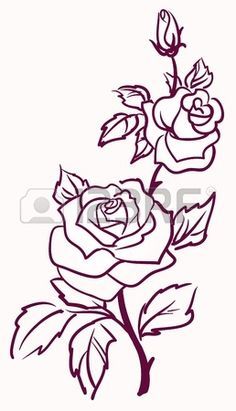 black and white drawing of three roses