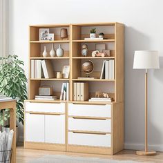 a living room with a bookcase, lamp and potted plant