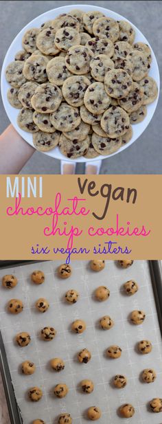 mini chocolate chip cookies on a baking sheet with text overlay that reads, mini chocolate chip cookies