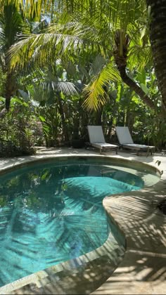 an outdoor swimming pool surrounded by palm trees and lounge chairs in the shade on a sunny day