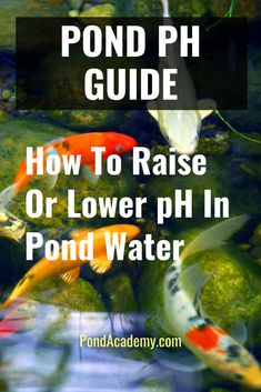 the pond guide for how to raise or lower ph in pond water