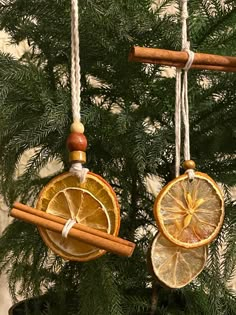 two orange slices and cinnamon are hanging from the tree