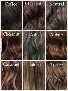 Different Shades Of Brown Hair, Shades Of Brown Hair, Shades Of Brunette, Different Shades Of Brown, Coffee Hair, Chestnut Hair, Chocolate Brown Hair Color