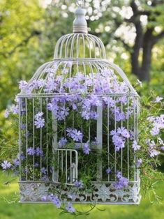 a birdcage filled with purple flowers sitting on top of a lush green field