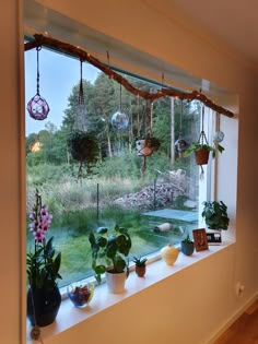 there are many plants on the window sill