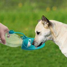 a dog drinking out of a water bottle with its owner's hand on the grass