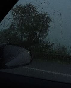 rain drops on the windshield of a car as it sits in front of a tree