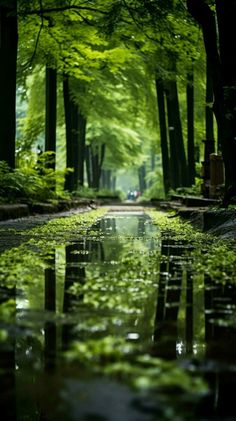 the reflection of trees in the water is very green and it looks like they're floating