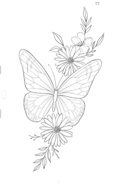 a drawing of a butterfly and flowers