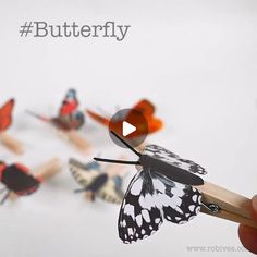 a hand holding a matchstick with butterflies on it and the words butterfly in front of them