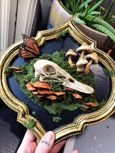 a person holding a plate with a small animal skull on it and some plants in the background