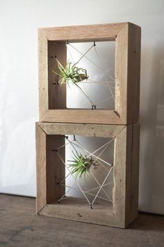 two wooden boxes with air plants in them