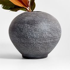 a black vase with a plant in it