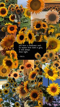 a collage of sunflowers with a quote on it