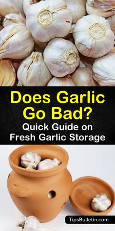 garlic is shown with the words does garlic go bad?