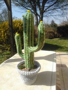 a green cactus sitting in a pot on top of a cement slab next to a tree