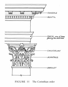 an architectural diagram showing the details of a corinum and its major features, vintage line drawing or engraving