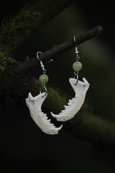 Jaw Bone Jewelry, Goblin Jewelry, Bone Jewelry Diy, Real Bone Jewelry, Animal Bone Jewelry, Cabinet Of Curiosity, Earrings Real, Bone Crafts, Bone Earrings