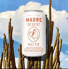 a can of madre desert water sitting on top of a cactus with clouds in the background