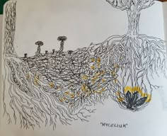 a drawing of trees with yellow leaves and mushrooms on the ground in front of them