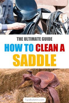 the ultimate guide to how to clean a saddle for horses and their riders, with text overlay