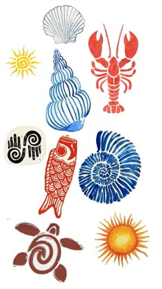 an image of different types of sea animals and seashells on a white background