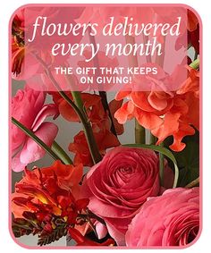 Flower Clique SKUs: ,TFB-36,TFB-36D,TFB-36P Our professional designers will create a unique design each month for the recipient of this wonderful gift! Your first bouquet will be delivered on the day of your choice. The next few months will be delivered on or about that same date. This is truly that gift that keeps on giving! You can pick 3 months, 6 months, or 12 months of flowers! Poinsettia Care, New Baby Flowers, Get Well Flowers, Casket Sprays, Flower Subscription, Anniversary Flowers, Pick 3, Flower Care, Flower Display