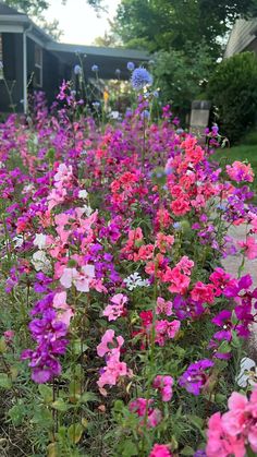 many different colored flowers in a garden