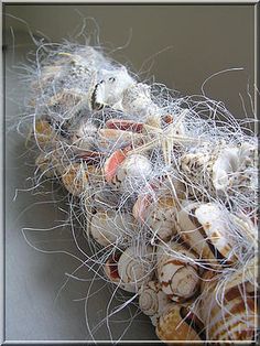 sea shells are gathered together on the table