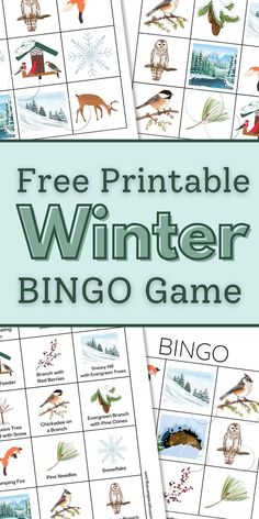 overlapping bingo cards with colorful winter items with a light blue rectangle in the middle with dark green text overlay with lines. Winter Bingo Printable Free, Winter Bingo, Deer Snow, Winter Designs