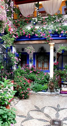 an outdoor patio with lots of flowers growing on it