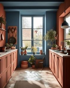 an orange kitchen with blue walls and potted plants on the windows sills