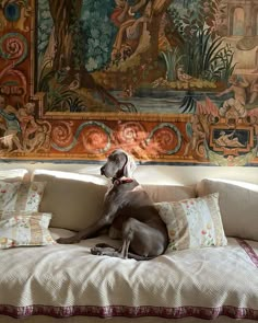 a dog is sitting on a couch in front of a wall with an ornate tapestry