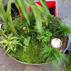 a planter filled with lots of green plants